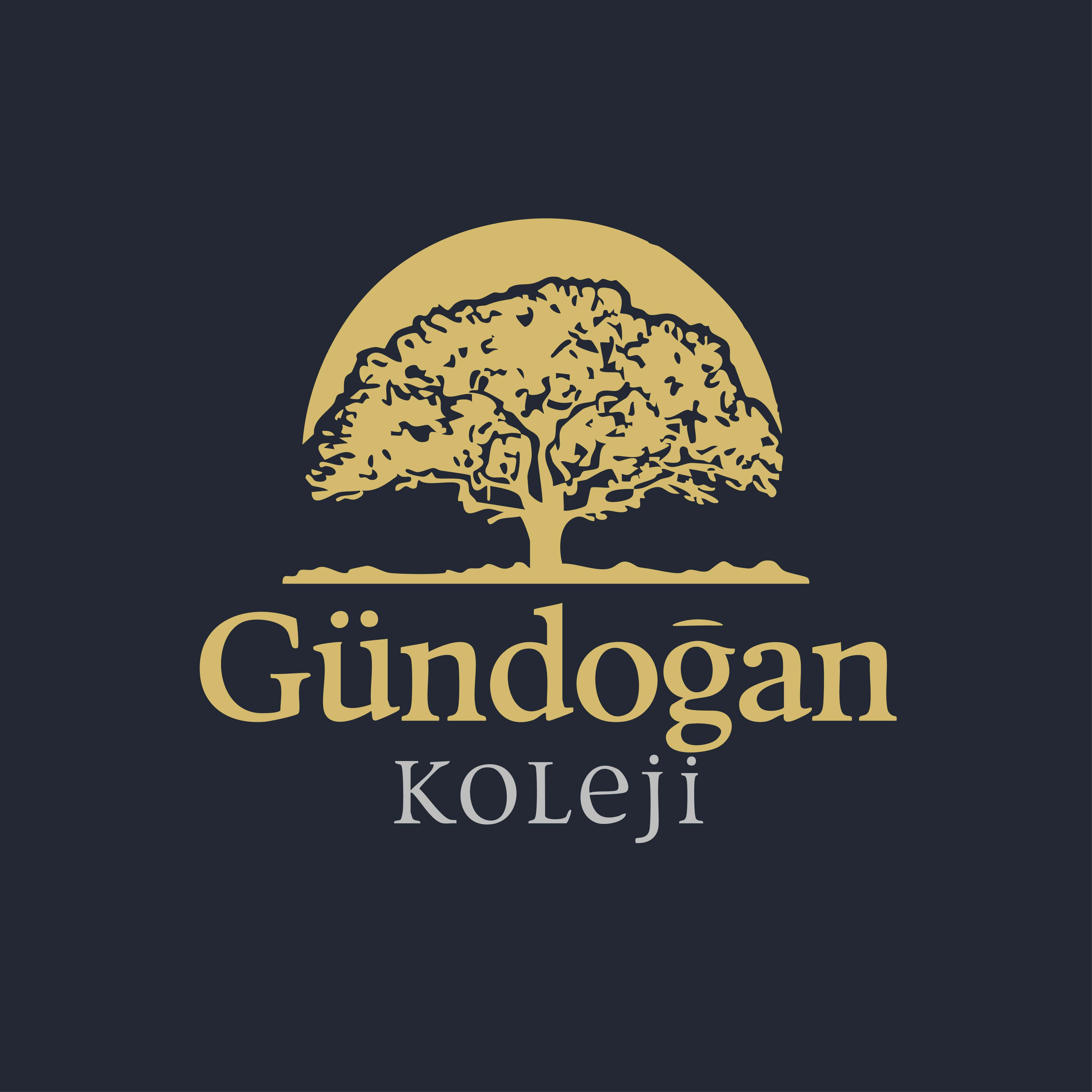 Logo Design 2